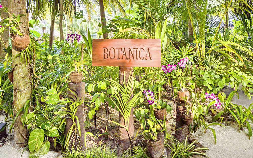 курортном ресторане Botanica