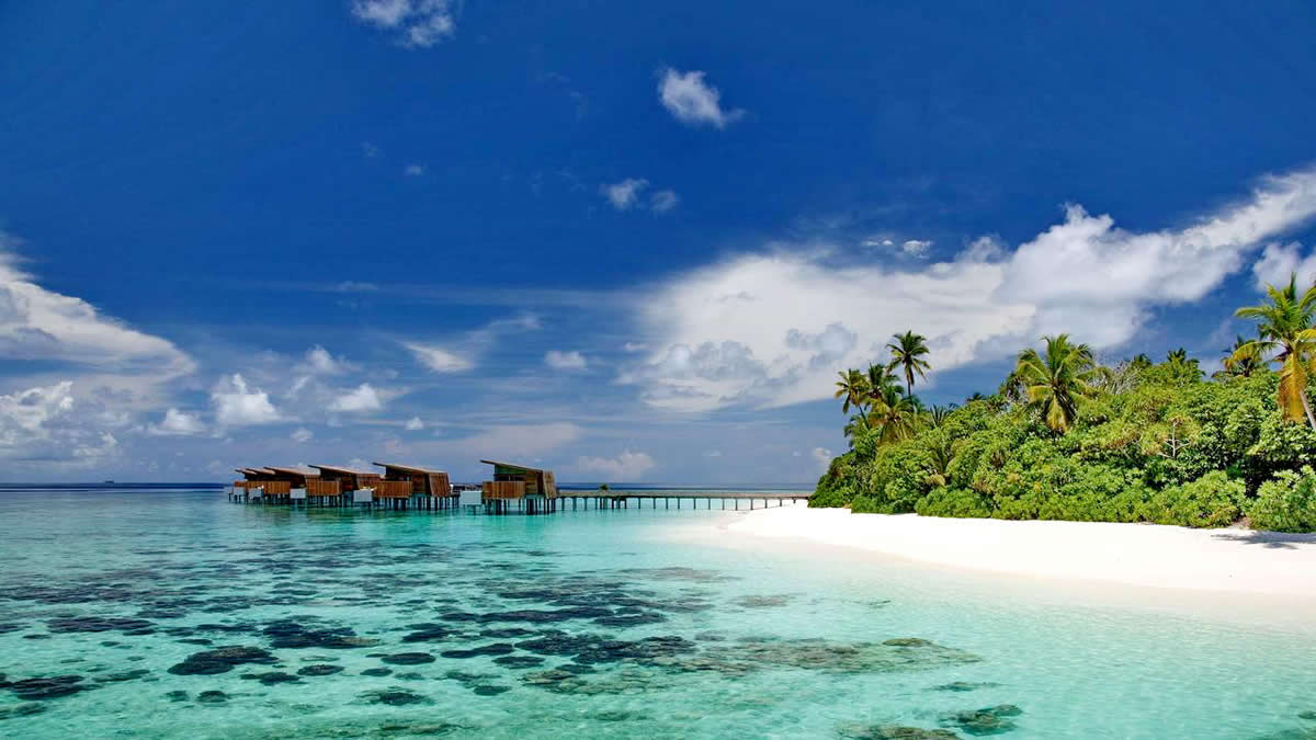 Роскошный отель Park Hyatt Maldives предлагает размещение в 5-звездочных виллах в нескольких шагах от пляжа с мелким белым песком. К услугам гостей открытый бассейн, 5-звездочный центр дайвинга и водных видов спорта PADI, а также первоклассный спа- и фитнес-центр.