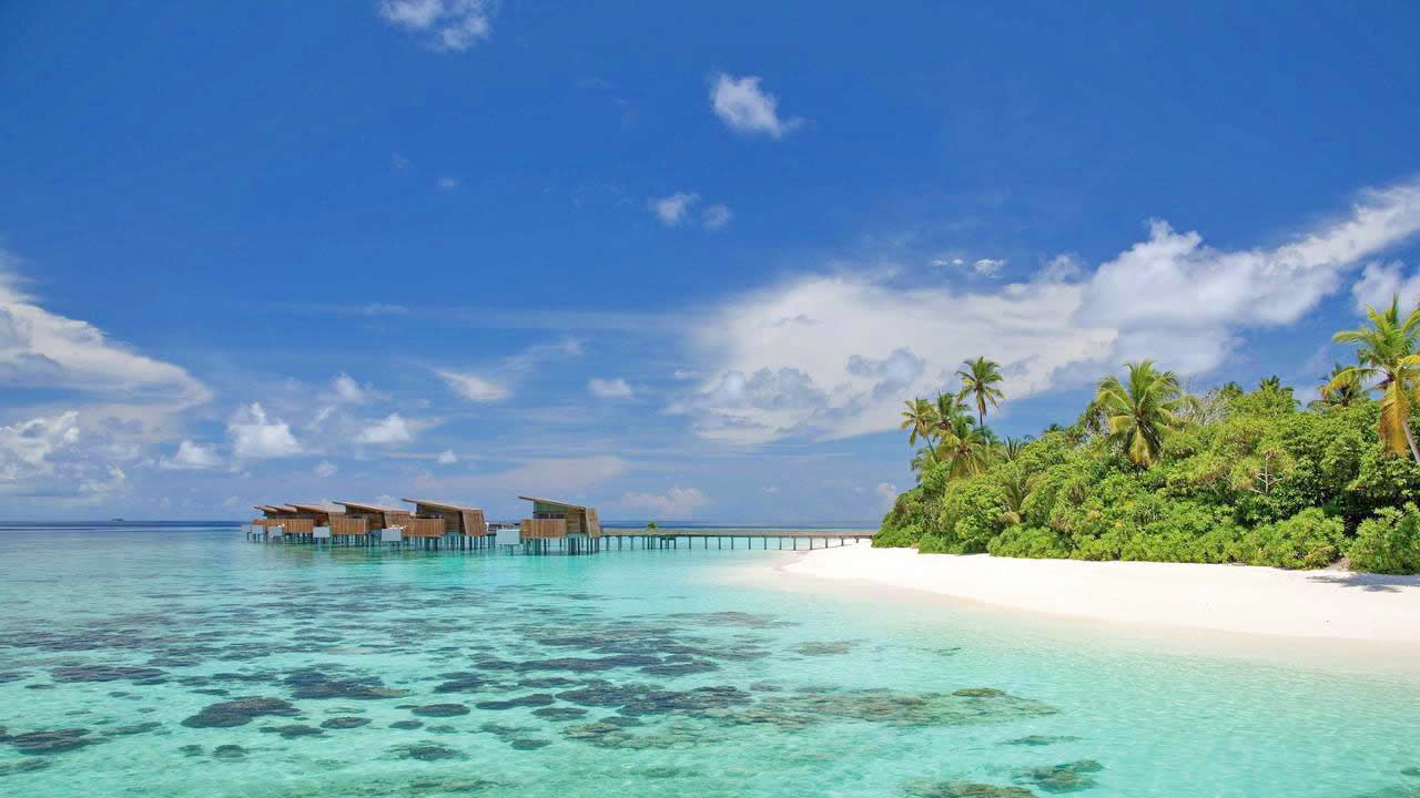 Роскошный отель Park Hyatt Maldives предлагает размещение в 5-звездочных виллах в нескольких шагах от пляжа с мелким белым песком. К услугам гостей открытый бассейн, 5-звездочный центр дайвинга и водных видов спорта PADI, а также первоклассный спа- и фитнес-центр.