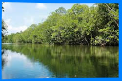 Чератинг (Cherating)  Малайзия, пляж, море около чератинга, пляжи, отели, магазины, ресторан, бар, ночной клуб, курорт, отдых в Чератинге, всё про чератинг в Малайзии