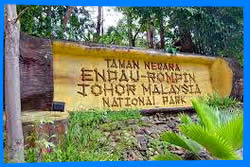Endau Rompin  Малайзия, Паханг, Куантан, Туризм, Эко-туризм, Джугли, Приключения, Походы, Природа, Национальный Парк