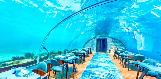 6 Подводные Рестораны на Мальдивах 2019 - Где Поесть Под Водой на Мальдивах? лучшие подводные рестораны на мальдивах