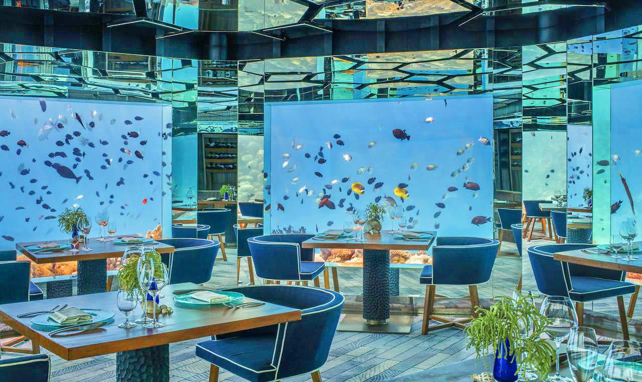 На курорте есть 5 уникальных ресторанов, которые включают в себя подводный ресторан и винный погреб SEA, лаундж Тэппанъяки FIRE и двухуровневый бар SKY над водой
