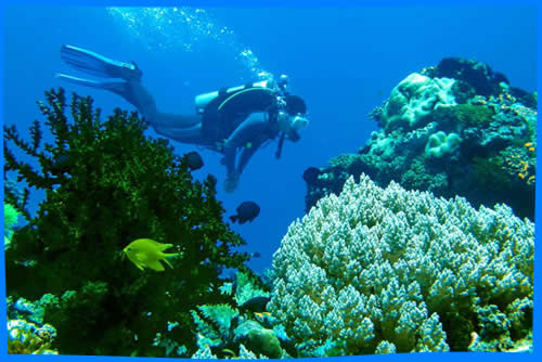 Национальный Морской Парк Риф Туббатаха, Объект Всемирного Наследия ЮНЕСКО в Море Сулу, Филиппины, Достопримечательности Палаван