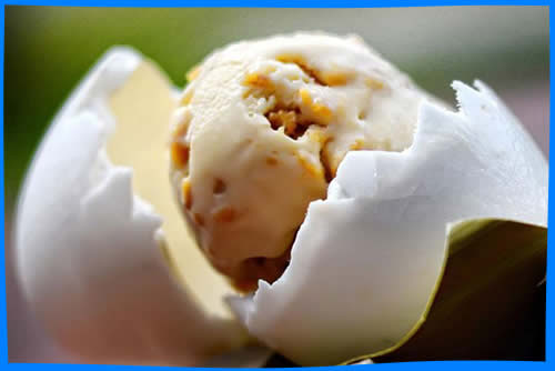Мороженое из Дуриана, Давао