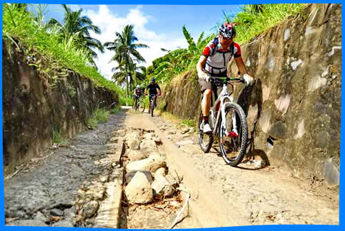 Горные Велосипеды в Себу