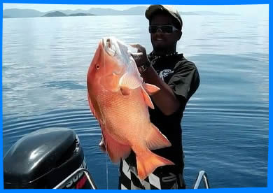 Донка, Рыбалка в Сейшельских Островах