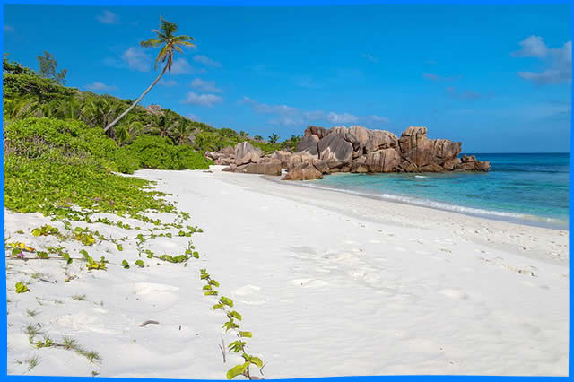Пляж анс коко на острове ла диг в сейшелах