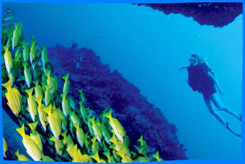 Ла Диг (La Digue) Отдых, Что Делать в Ла-Диге