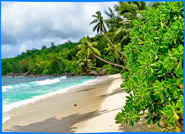 Пляж Anse Takamaka, Сейшельские Острова Пляжи, описание, как добраться