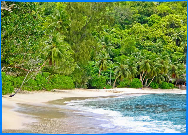 Пляж Anse Takamaka, Сейшельские Острова Пляжи, описание, как добраться