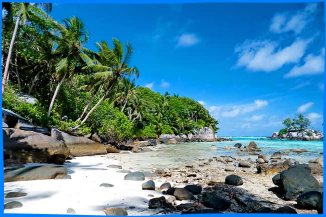 Фото Пляжа Pointe Au Sel vf' сейшельские острова