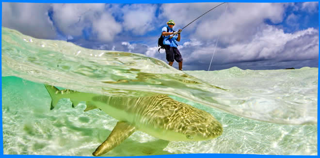 Рыбалка в Сейшельских Островах