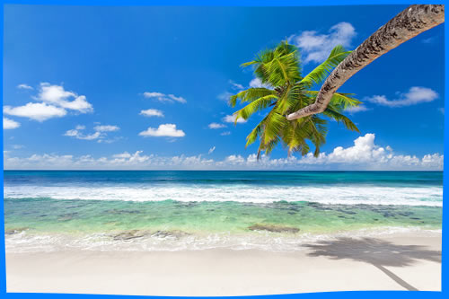 Топ 10 Пляжи Маэ, Самые Лучшие Пляжи Маэ
