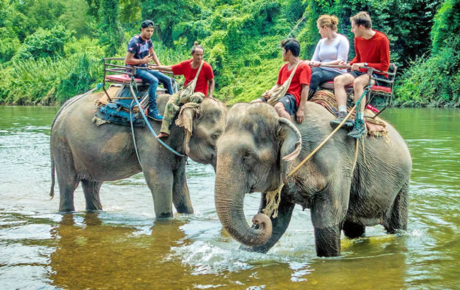 Деревня Слонов Паттайя (Pattaya Elephant Village)