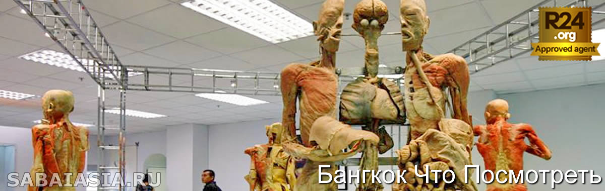 Судебно-Медицинский Музей в Бангкоке