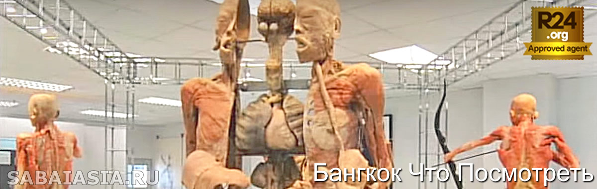 Музей Человеческого Тела в Бангкоке - Странный или Удивительный?