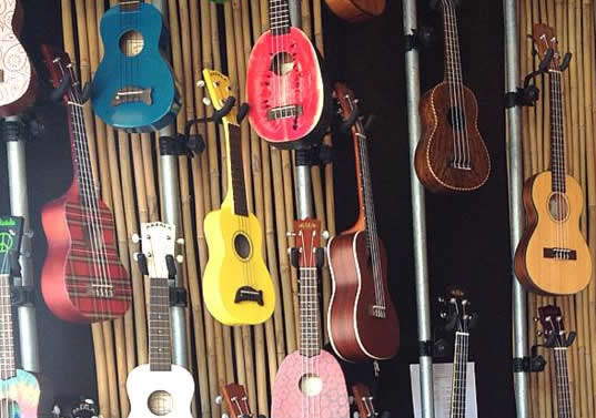 Ribbee Boutique Ukulele 