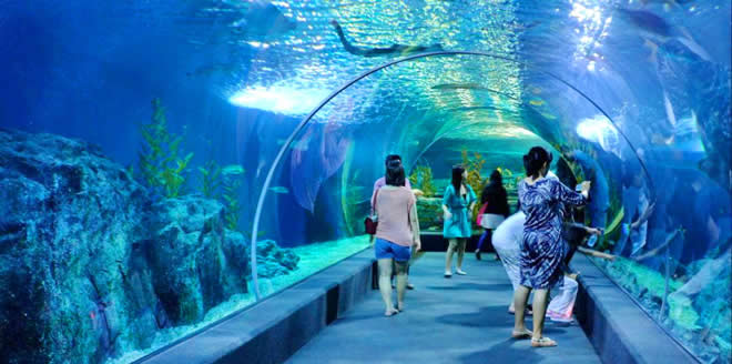 SEA LIFE Bangkok Ocean World
