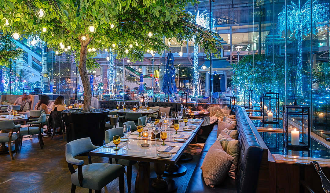 Theo Mio Bangkok 