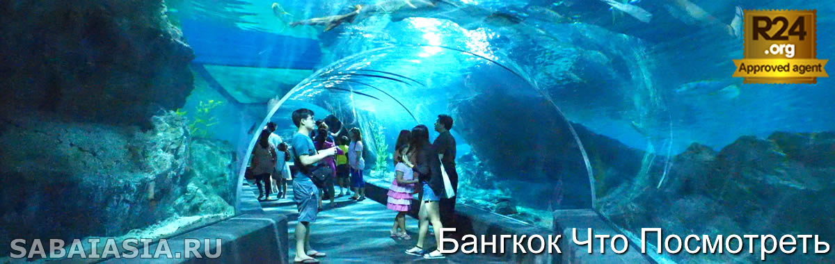 SEA LIFE Bangkok Ocean World - Бывший Siam Ocean World в Сиам Парагон